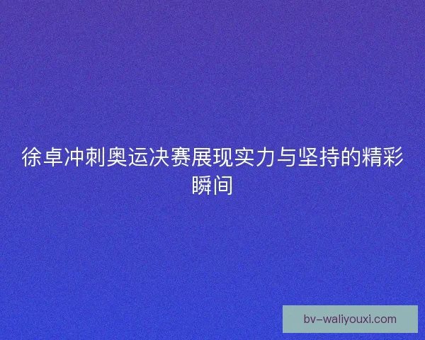 徐卓冲刺奥运决赛展现实力与坚持的精彩瞬间