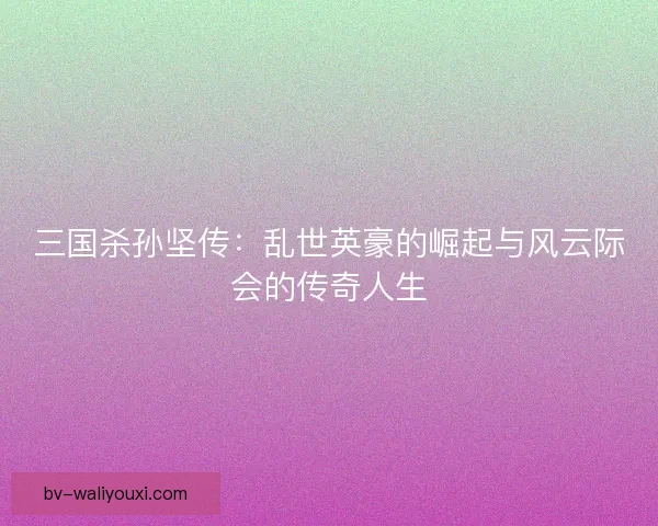 三国杀孙坚传：乱世英豪的崛起与风云际会的传奇人生